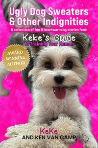Book cover for Ugly Dog Sweaters and Other Indignities